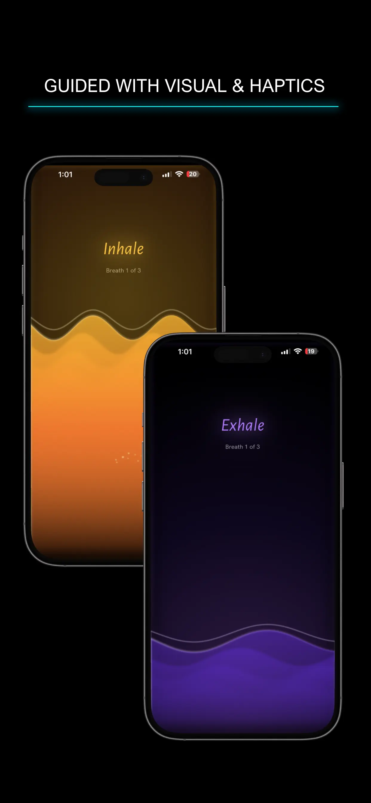 VAYU breathing animation and guidance