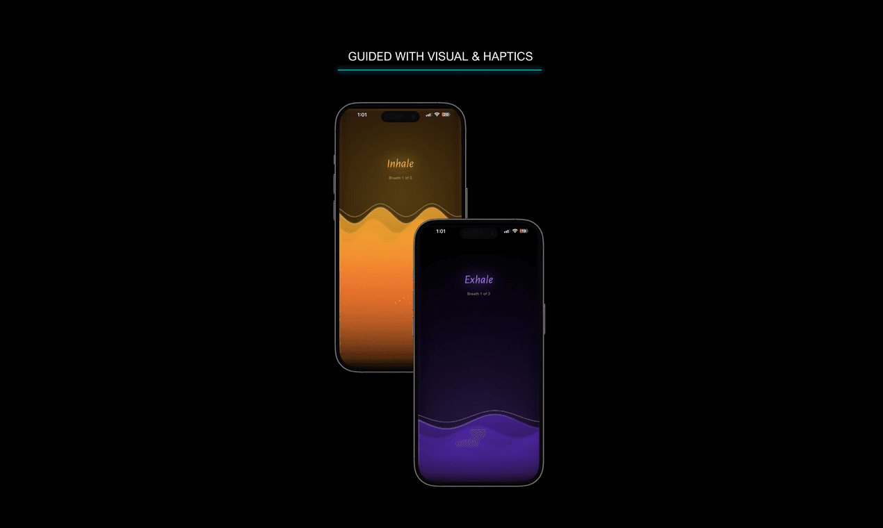 Visual and haptic guidance